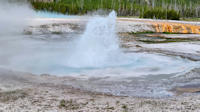 Spouter Geyser