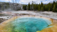 Morning Glory Pool