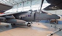 Harrier